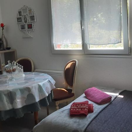 Ravissant Studio Dans Un Cadre Agreable Soultz-Haut-Rhin Luaran gambar