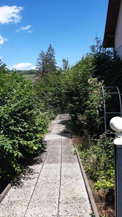 Ravissant Studio Dans Un Cadre Agreable Soultz-Haut-Rhin Luaran gambar