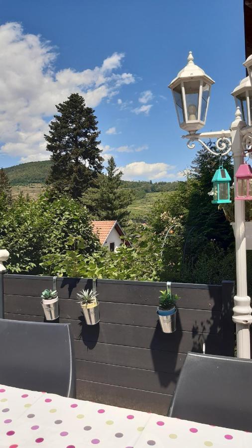 Ravissant Studio Dans Un Cadre Agreable Soultz-Haut-Rhin Luaran gambar